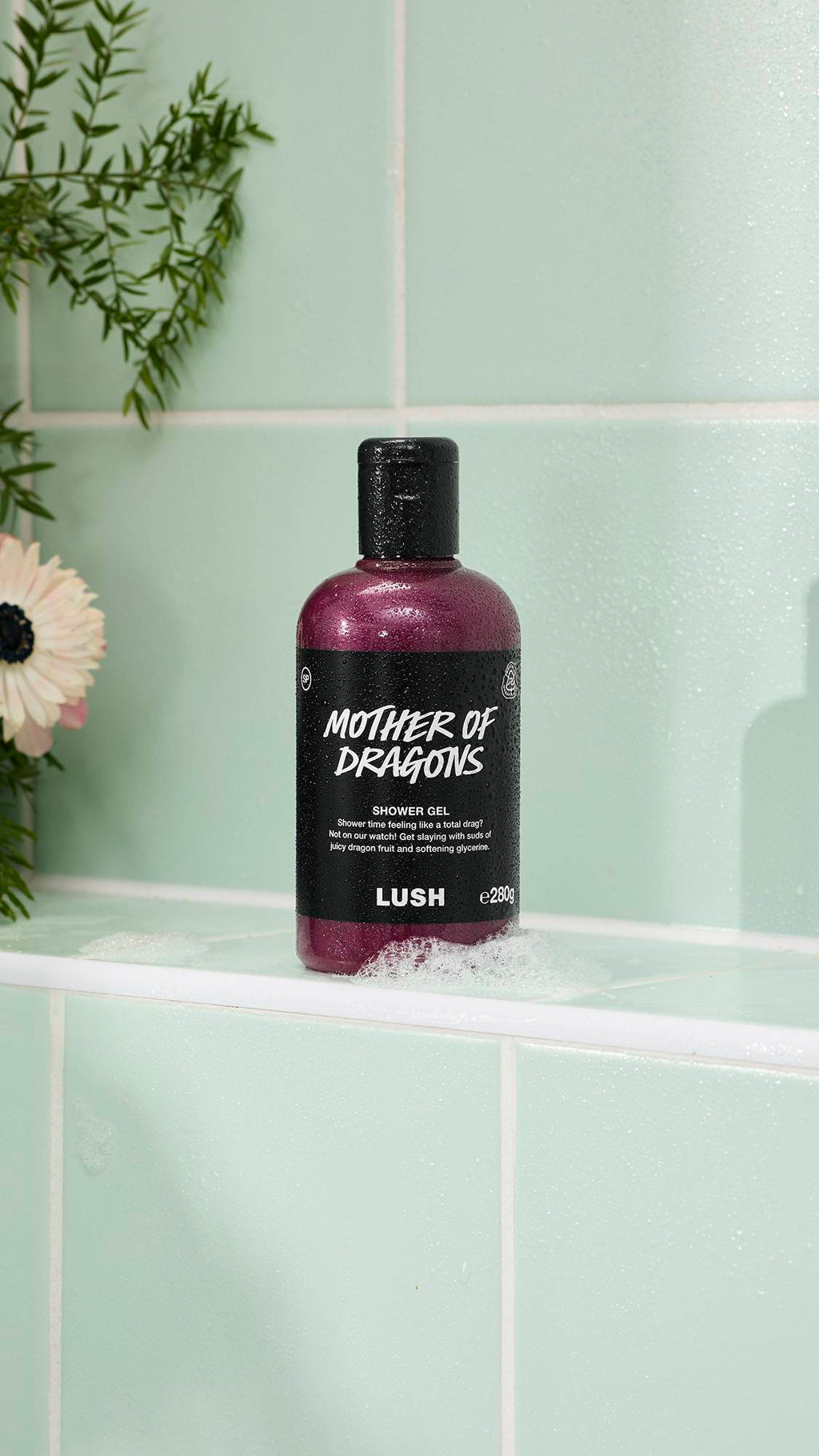 A bottle of purple, shimmery "Mother of Dragons" Shower Gel sits on a white tiled shelf. The label mentions "juicy dragon fruit and softening glycerine." Bubbles and greenery surround the bottle against a mint green tiled background.